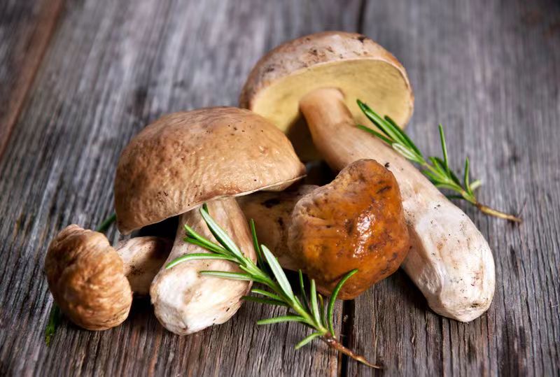 Porcini Mushroom Sliced Dried 50g