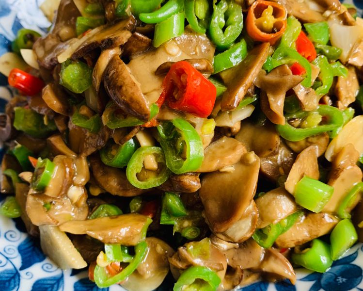 Porcini Mushroom Sliced Dried 50g