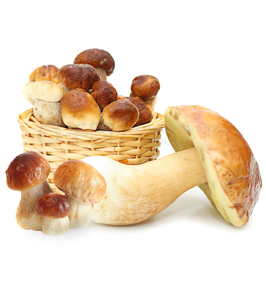 Porcini Mushroom Sliced Dried 50g
