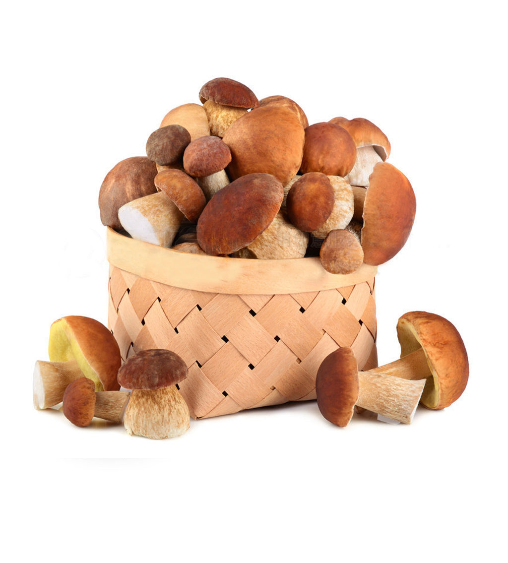 Porcini Mushroom Sliced Dried 50g