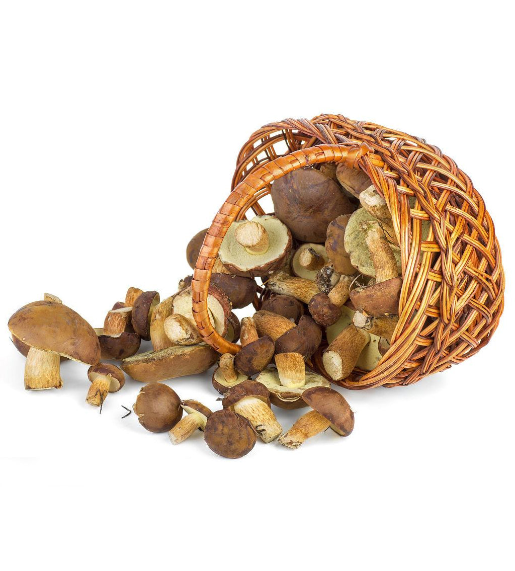 Porcini Mushroom Sliced Dried 50g