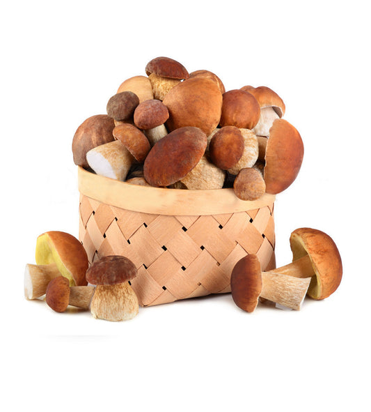 Porcini Mushroom Sliced Dried 50g